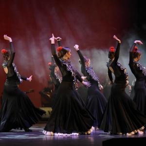 Fotografía de Talleres Danza Española (galería 2) - Conservatorio de Danza